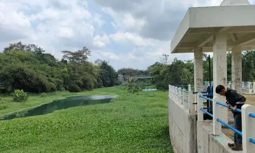 Kondisi Bendungan Grembyangan di Prambanan Memperihatinkan, Butuh Normalisasi!