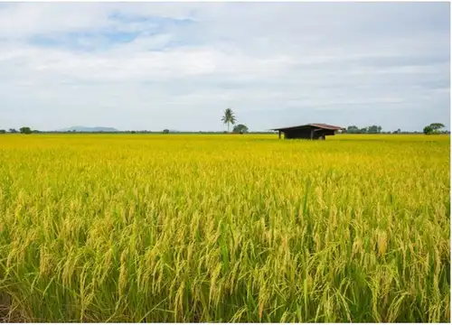 Prakiraan Cuaca Karanganyar Selasa 22 Oktober 2024 Dominan Cerah Berawan