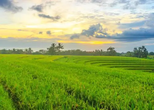 Prakiraan Cuaca Sragen Selasa 22 Oktober 2024 Bakal Bersahabat di Siang Hari