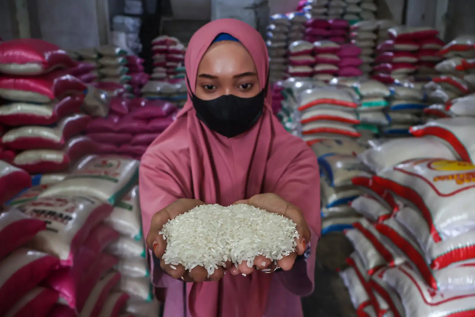 HPP Gabah Kering Panen Rp6.500, HET Beras Medium Kemungkinan Dinaikkan