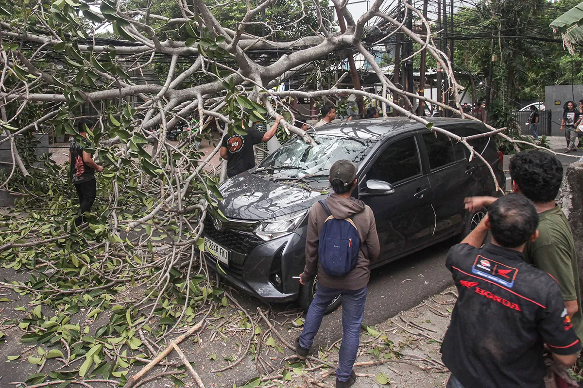 Pohon Tumbang Akibat Angin Kencang Timpa Mobil di Jakarta