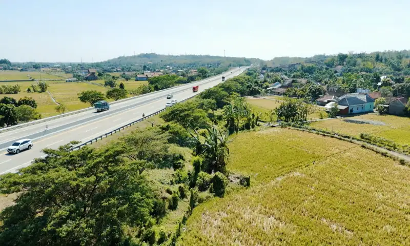 23.171 Pohon Trembesi Ditanam di Tol Trans Sumatra untuk Tekan Emisi Karbon
