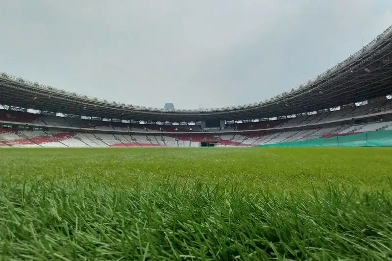 Erick Thohir: Rumput GBK dalam Kondisi Terbaik untuk Laga Timnas Indonesia