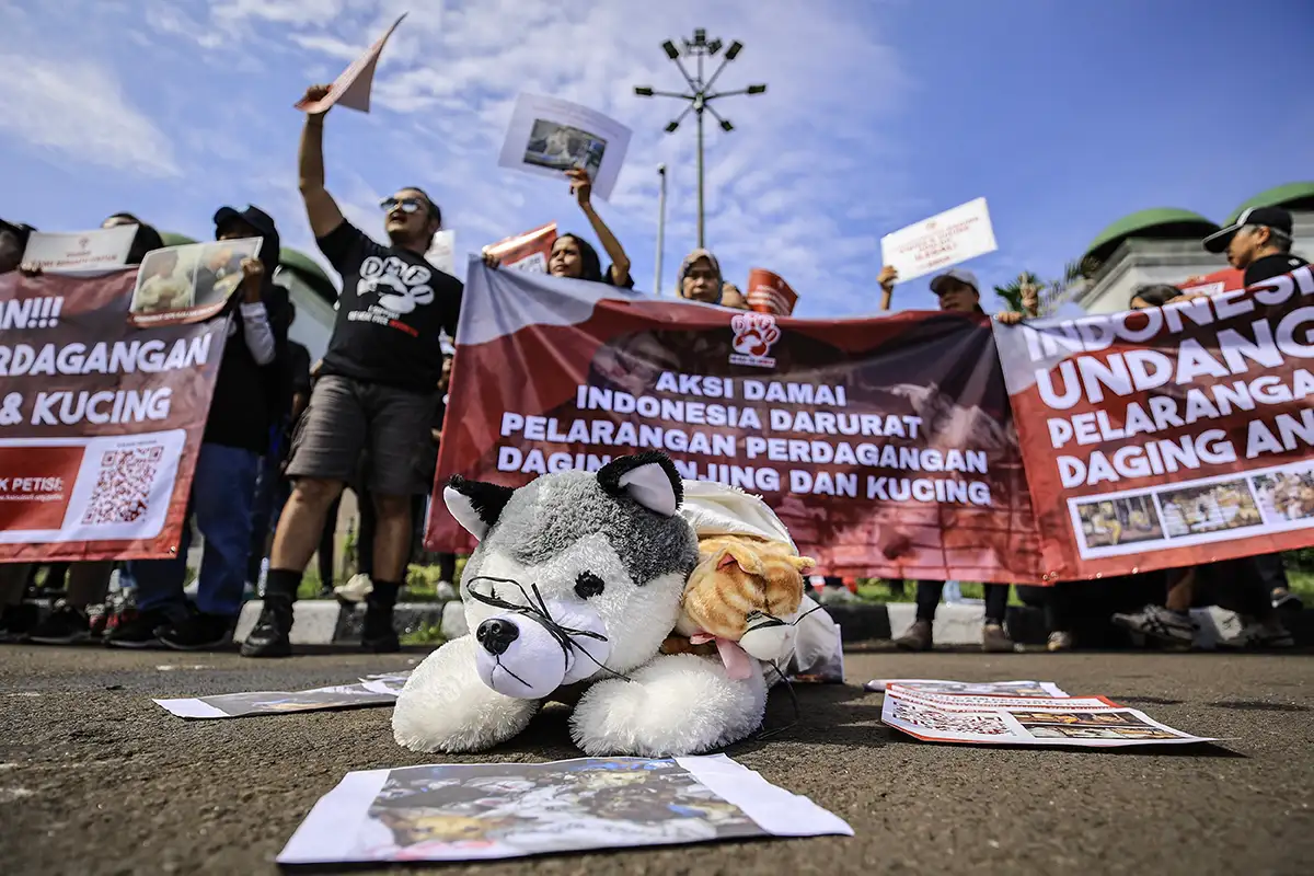 Pemerintah Dinilai Tak Serius Tangani Perdagangan Daging Anjing di Semarang