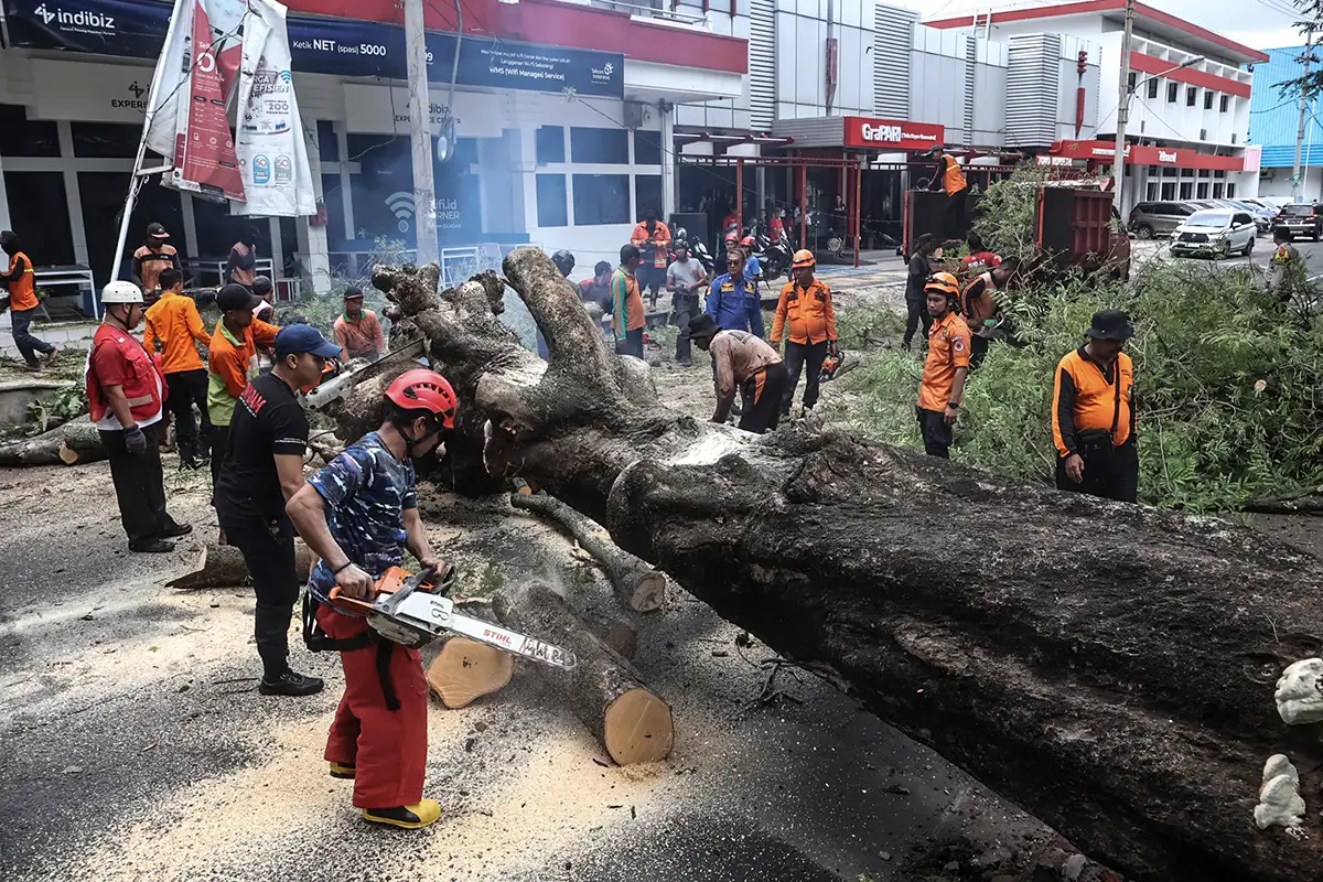 Petugas Gabungan Evakuasi Pohon Tumbang di Jl Mayor Kusmanto Solo