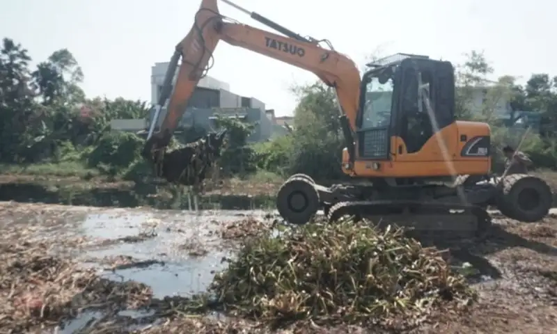 Cegah Banjir, Pemkot Pekalongan Bersihkan Enceng Gondok di Sungai Lodji