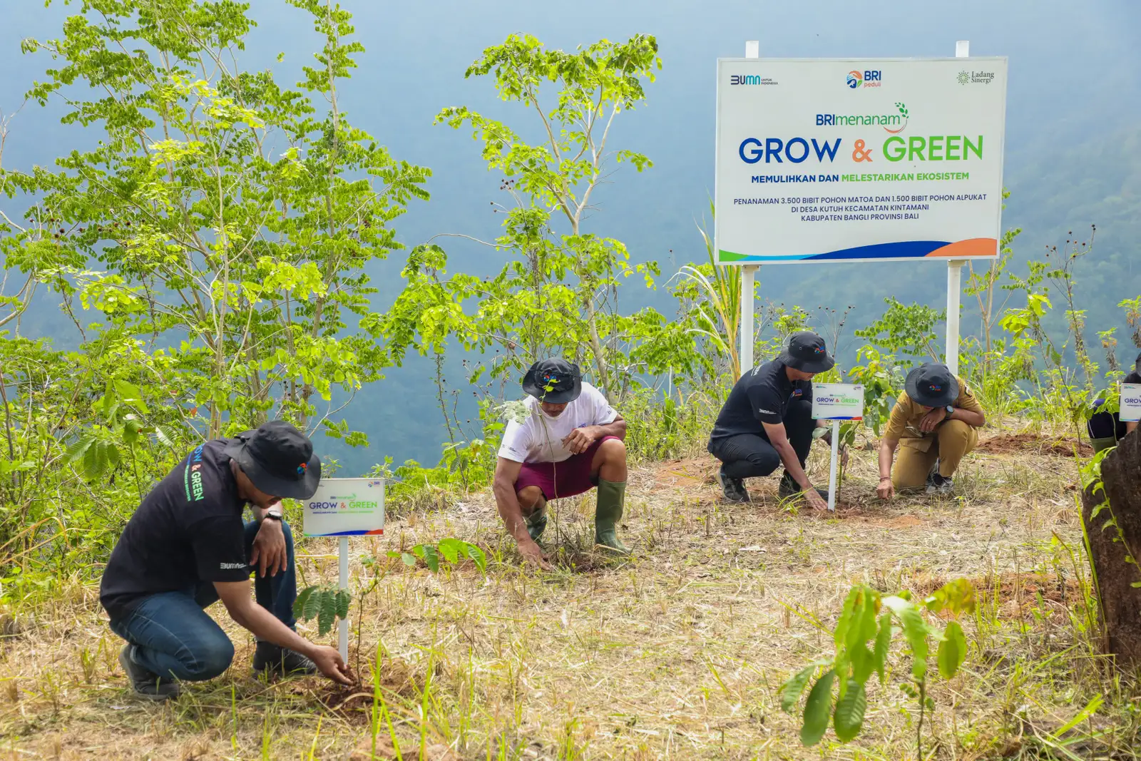 Peringati Hari Menanam Pohon, BRI Tanam 5.000 Bibit Pohon Produktif di Bali