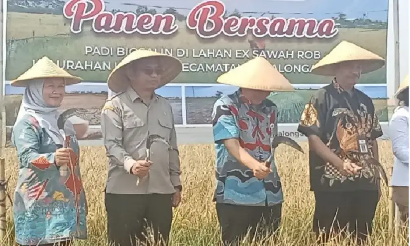 Lahan Bekas Rob di Pekalongan Dipakai Dukung Program Makan Gratis