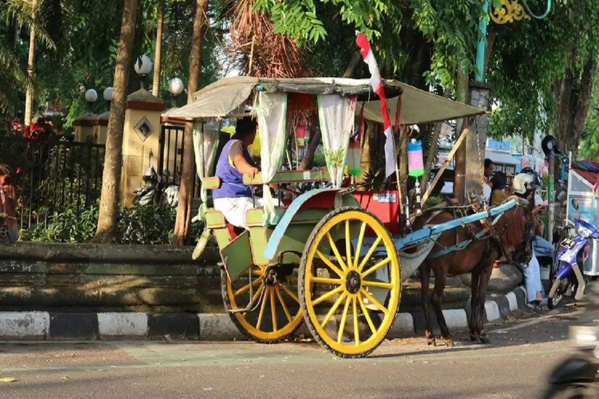 Video Bendi Melaju Tanpa Kusir di Boyolali Ternyata Hoaks, Ini Faktanya