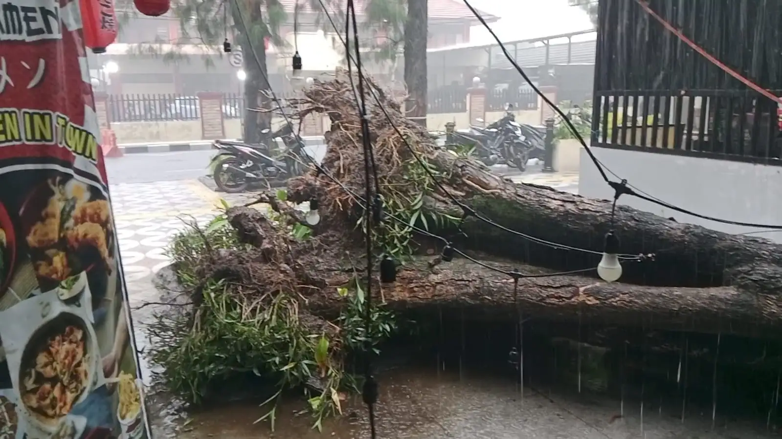 Braakkk!! Pohon Besar Tumbang Timpa Selter Kuliner Manahan Solo