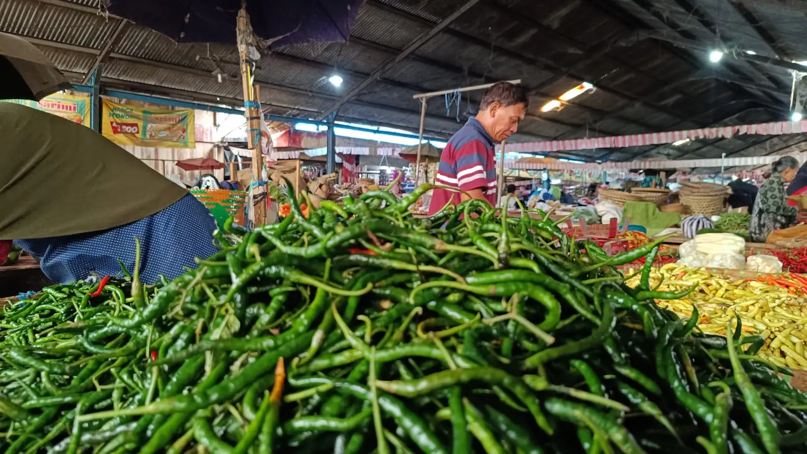 Cuaca Ekstrem, Harga Cabai di Salatiga Merangkak Naik