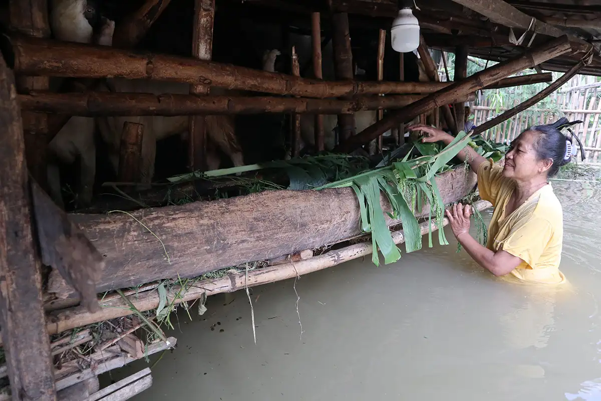 Banjir Rendam 5 Kecamatan di Jombang, 1.200 Jiwa Terdampak