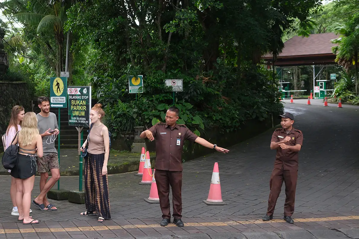 Monkey Forest Bali Tutup Sementara Imbas 2 WNA Meninggal Tertimpa Pohon Tumbang