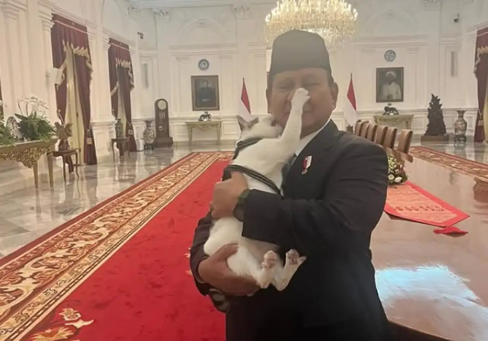 Kucing Presiden Prabowo, Bobby Kertanegara Dapat Penghargaan dari Google