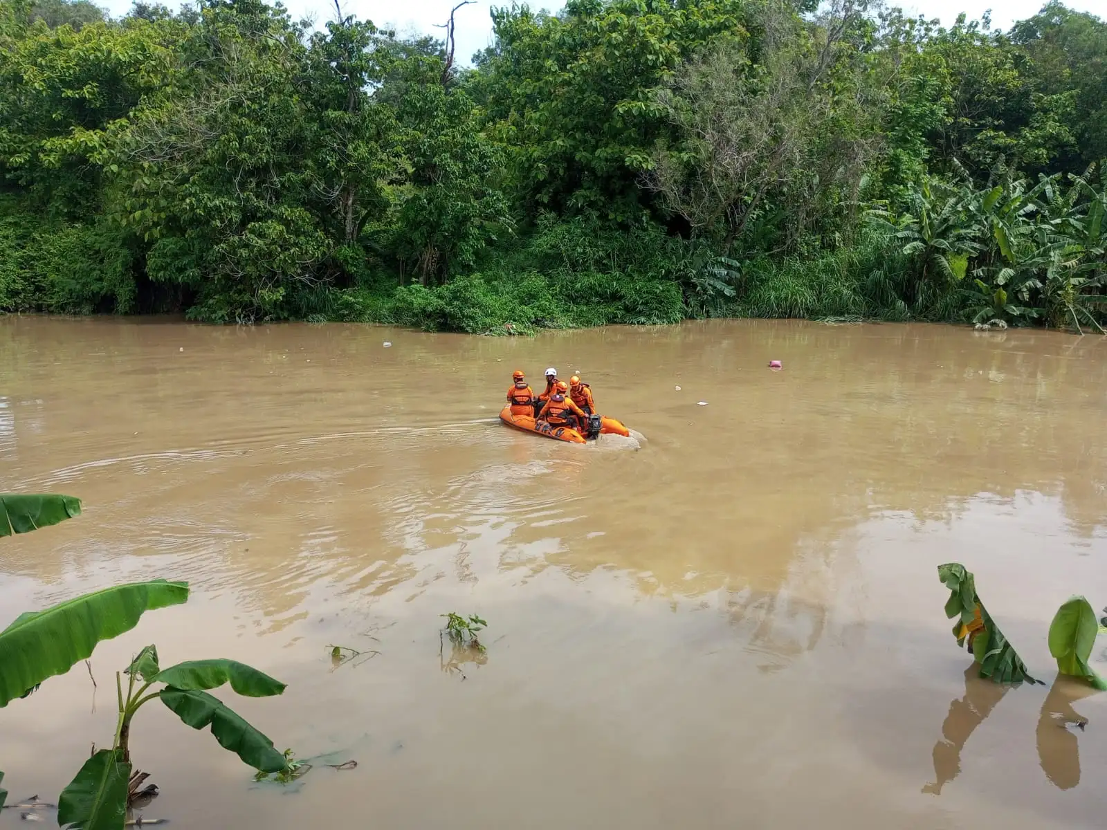 Cari Bocah Terseret Arus, Seratusan Anggota Tim SAR Terjun ke Kali Anyar Solo