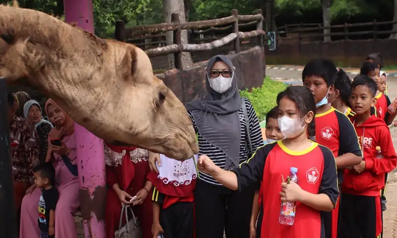 Harga Tiket Semarang Zoo Turun! Promo Spesial Libur Natal dan Tahun Baru 2025