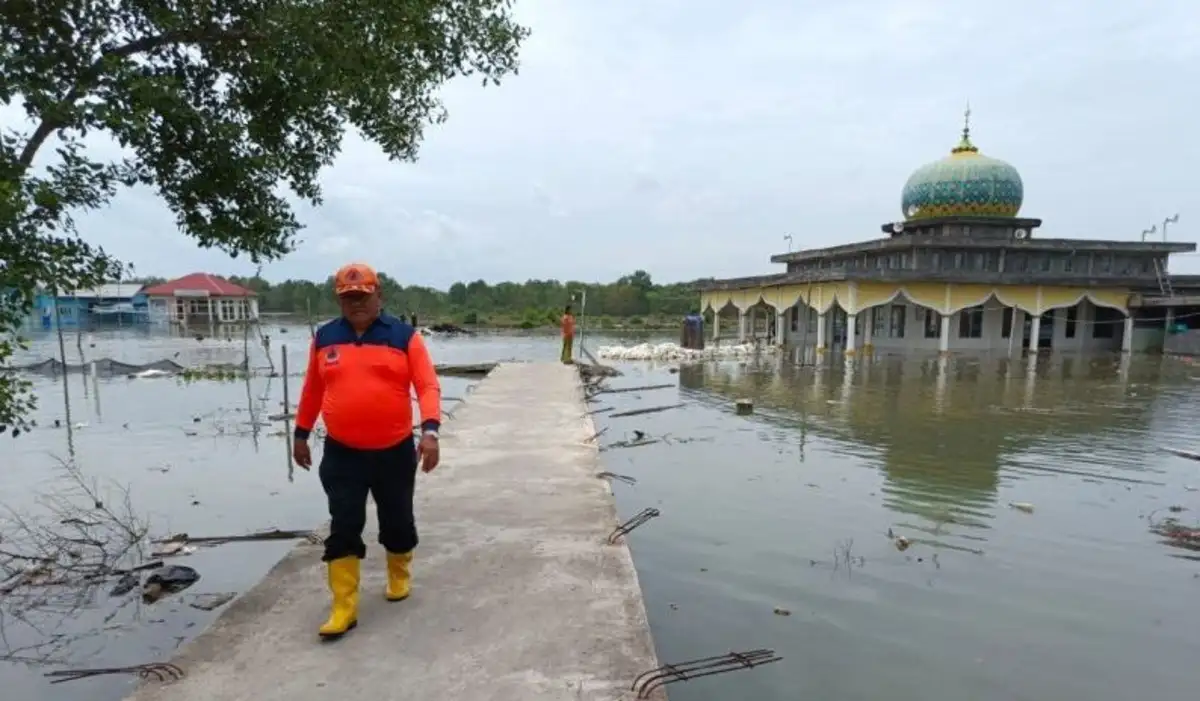 Dampak Air Laut Pasang, Tanggul Penahan Air Laut di Tulang Bawang Lampung Jebol