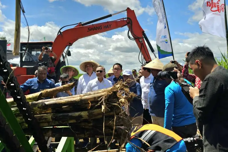 Produksi Meningkat, Menteri Zulhas Optimistis Tahun Depan Tak Impor Gula