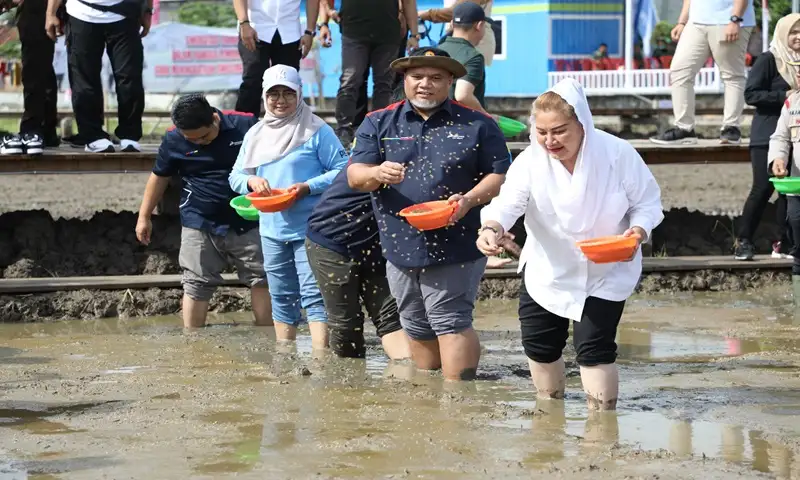 BRIN Apresiasi Sawah Biosalin 20 Hektare di Pesisir Semarang