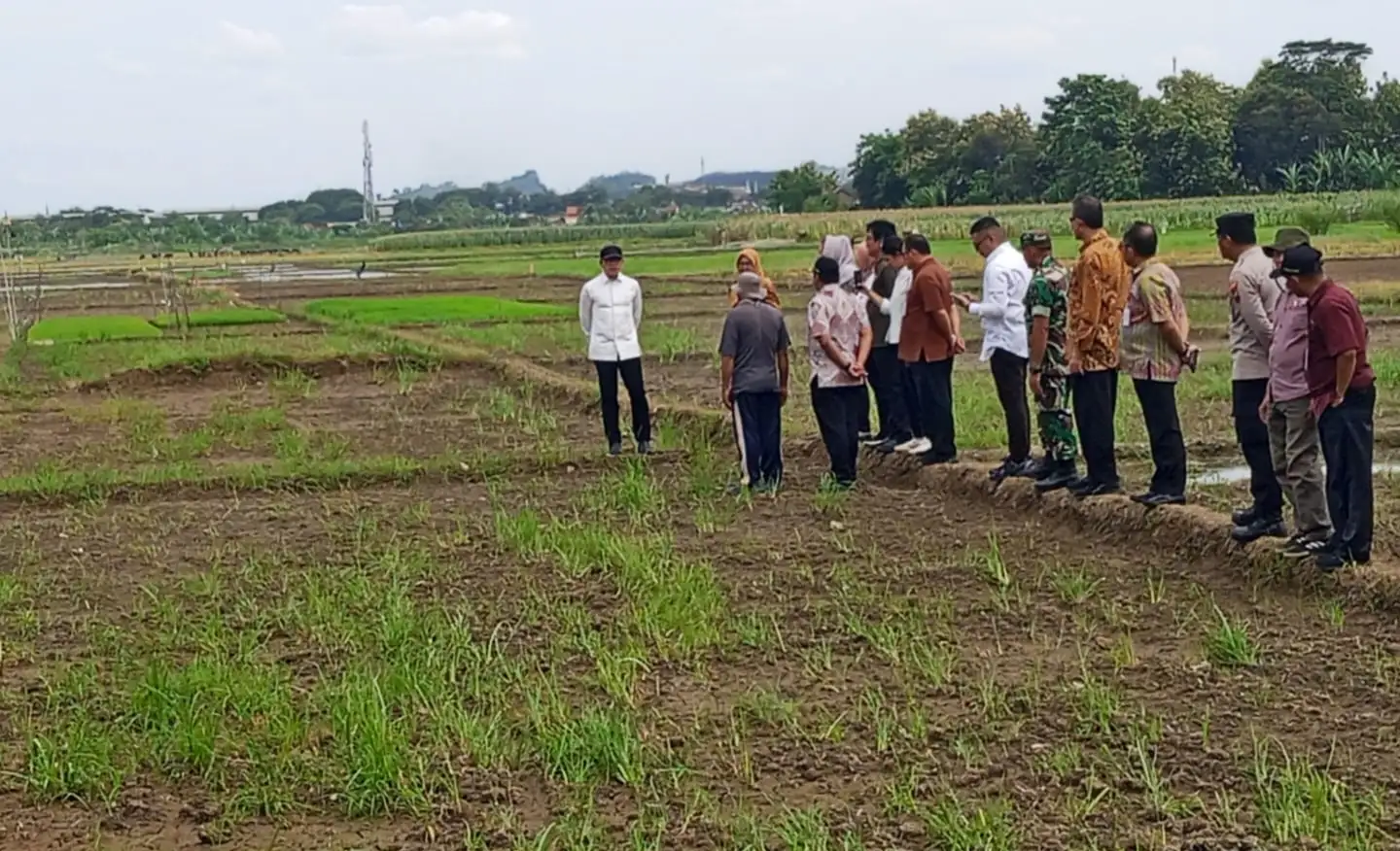 80 Ha Sawah di Semarang Kekurangan Air, Wamendagri Soroti Irigasi yang Buruk