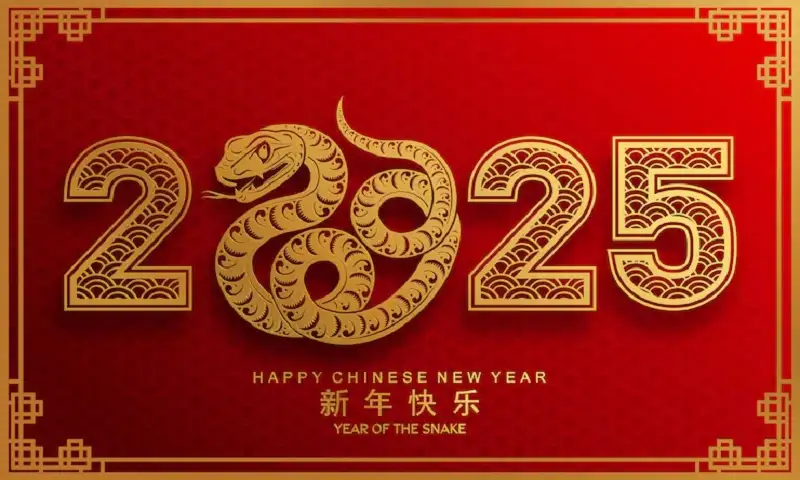 Warna Keberuntungan 12 Shio di Tahun Ular Kayu 2025