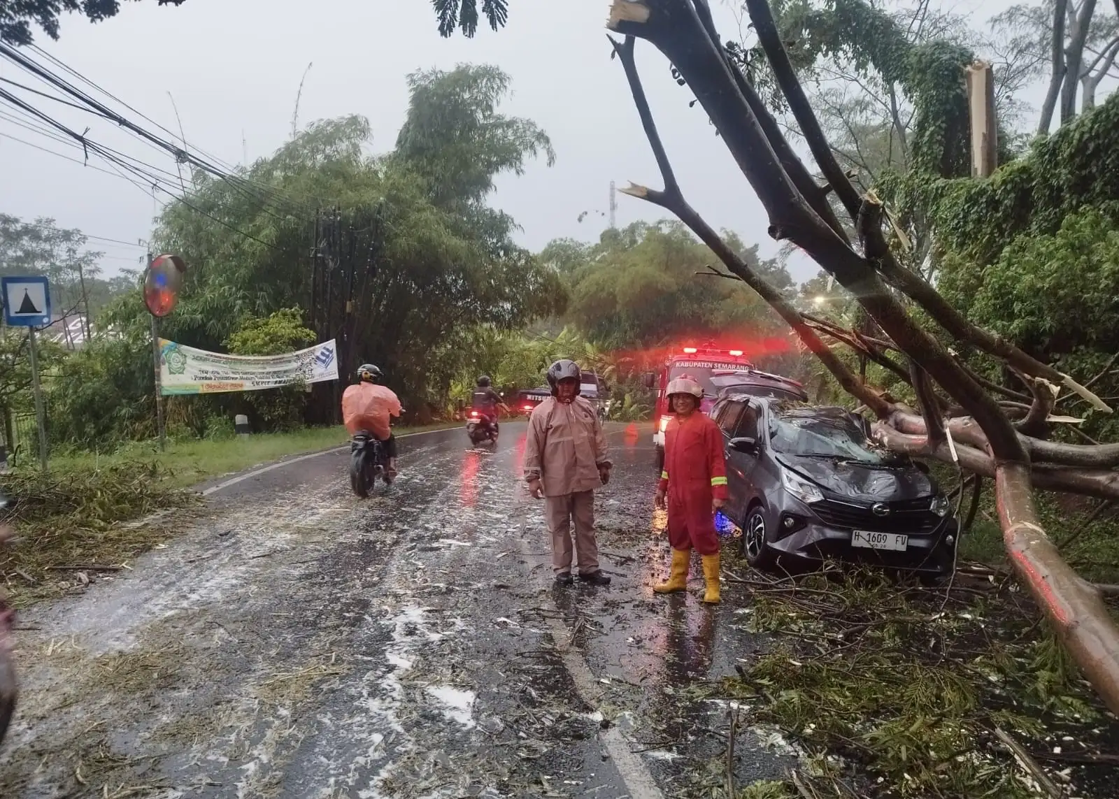 Hujan Lebat, Pohon Tumbang Timpa Taksi Online di Ambarawa Semarang