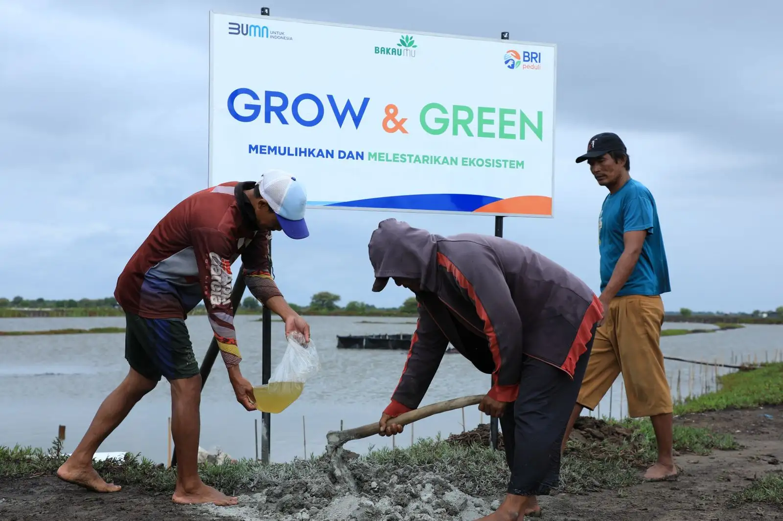 BRI Menanam - Grow & Green, Upaya Nyata BRI Bantu Pulihkan Ekosistem Lingkungan