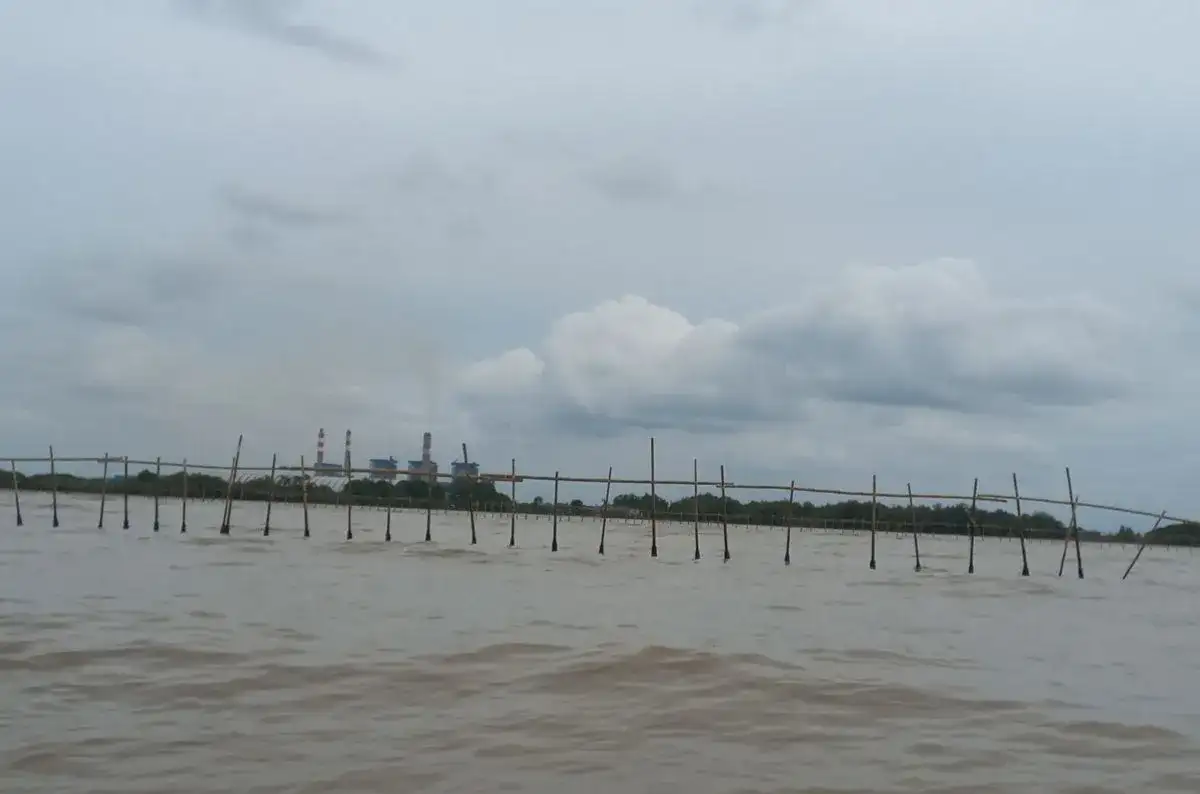 Pengembang PIK 2 Bantah Membangun Pagar Bambu 30,16 Km di Pesisir Tangerang