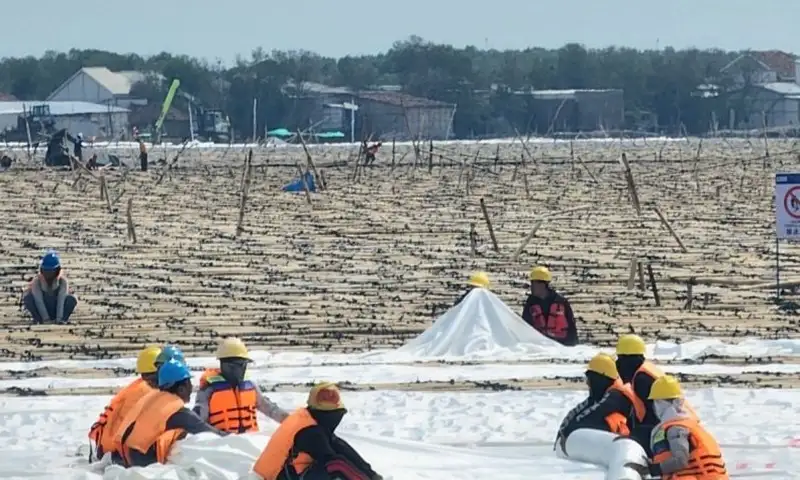 Menganyam Matras Bambu untuk Tol dan Tanggul Laut Semarang-Demak