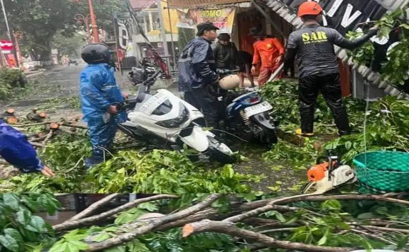 Angin Kencang di Sukoharjo, Pohon Tumbang Timpa Toko Roti