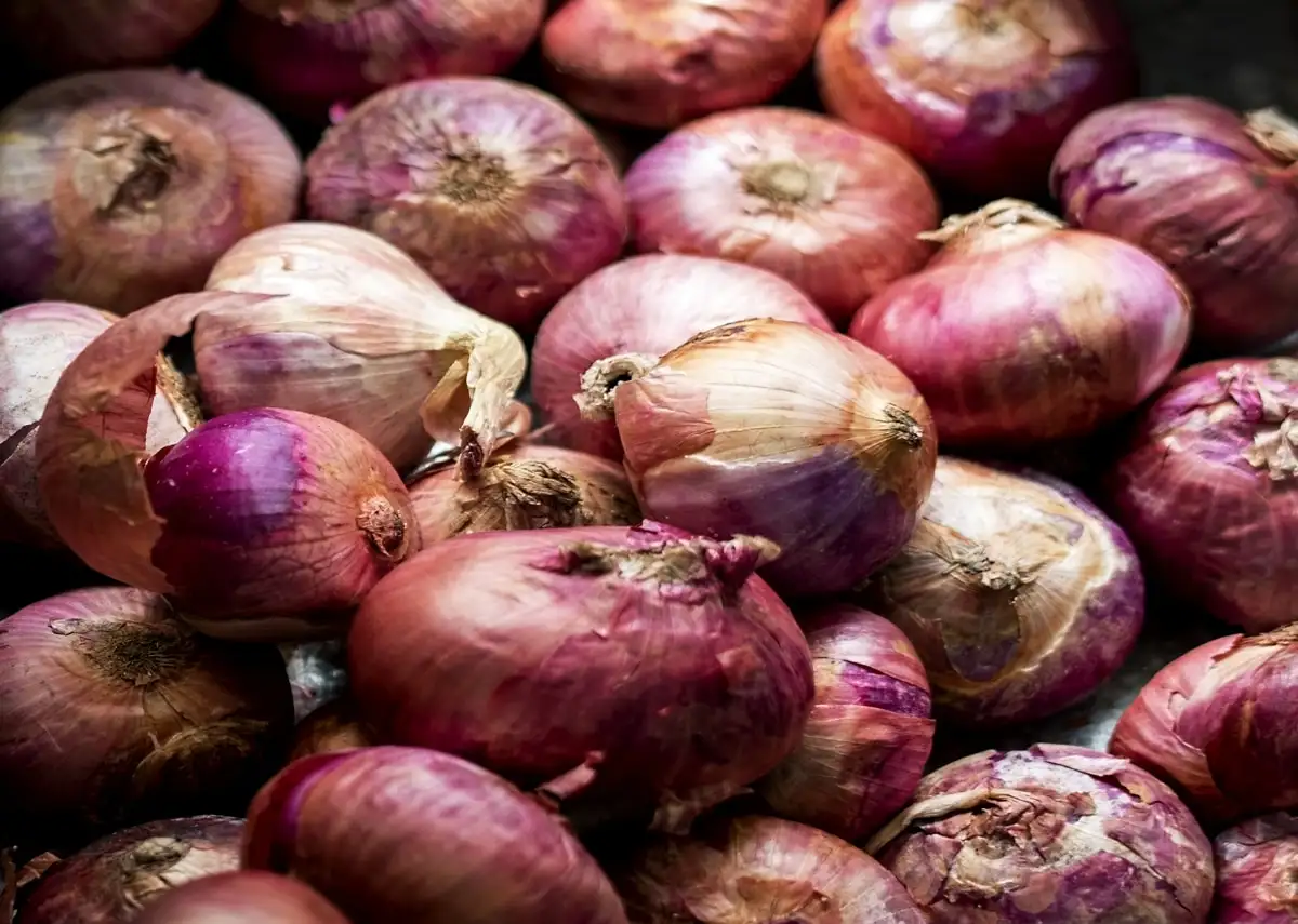 Bapanas Catat Harga Bawang Merah dan Cabai Rawit Turun