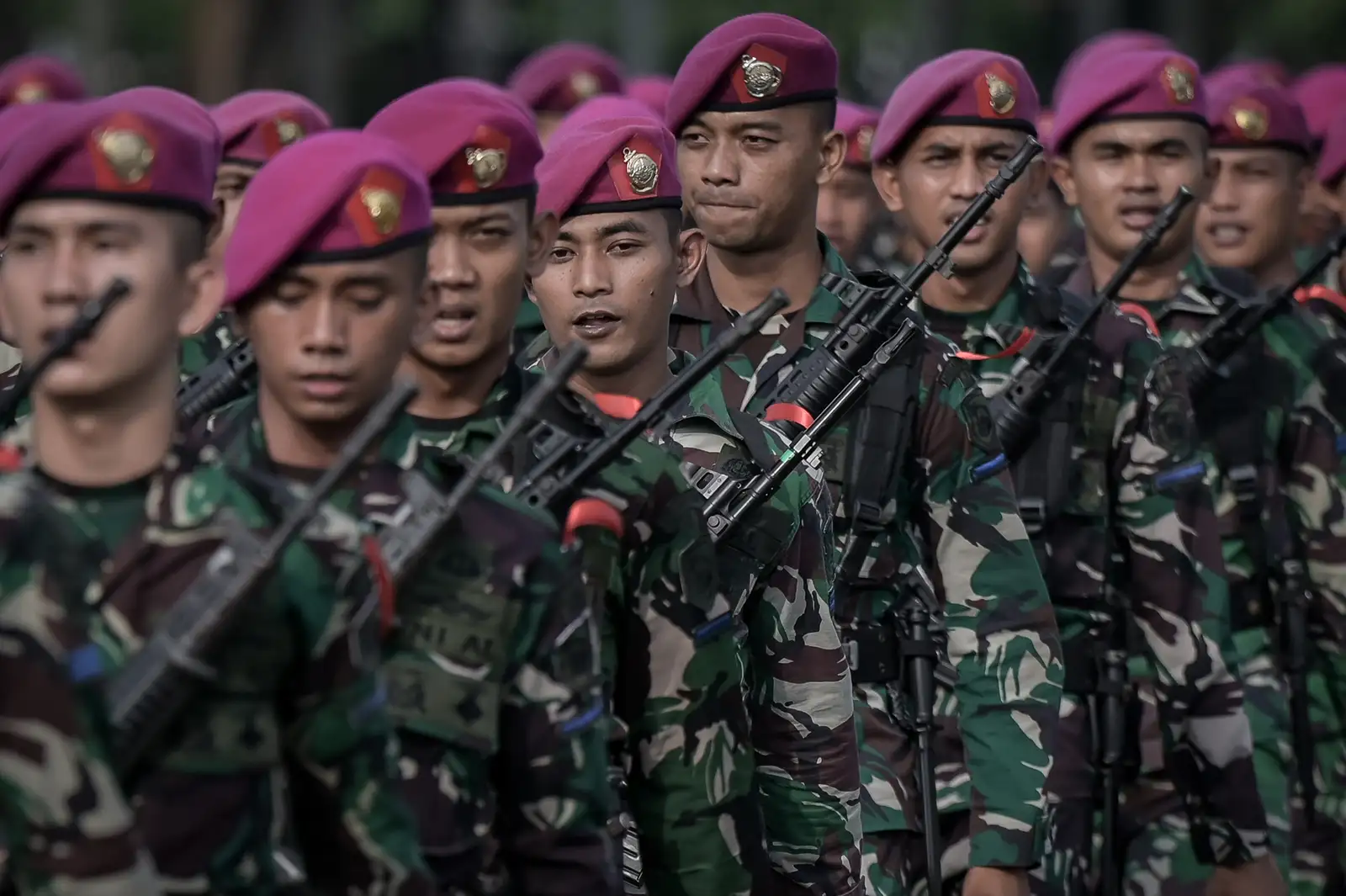 Profesionalisme TNI Tercederai