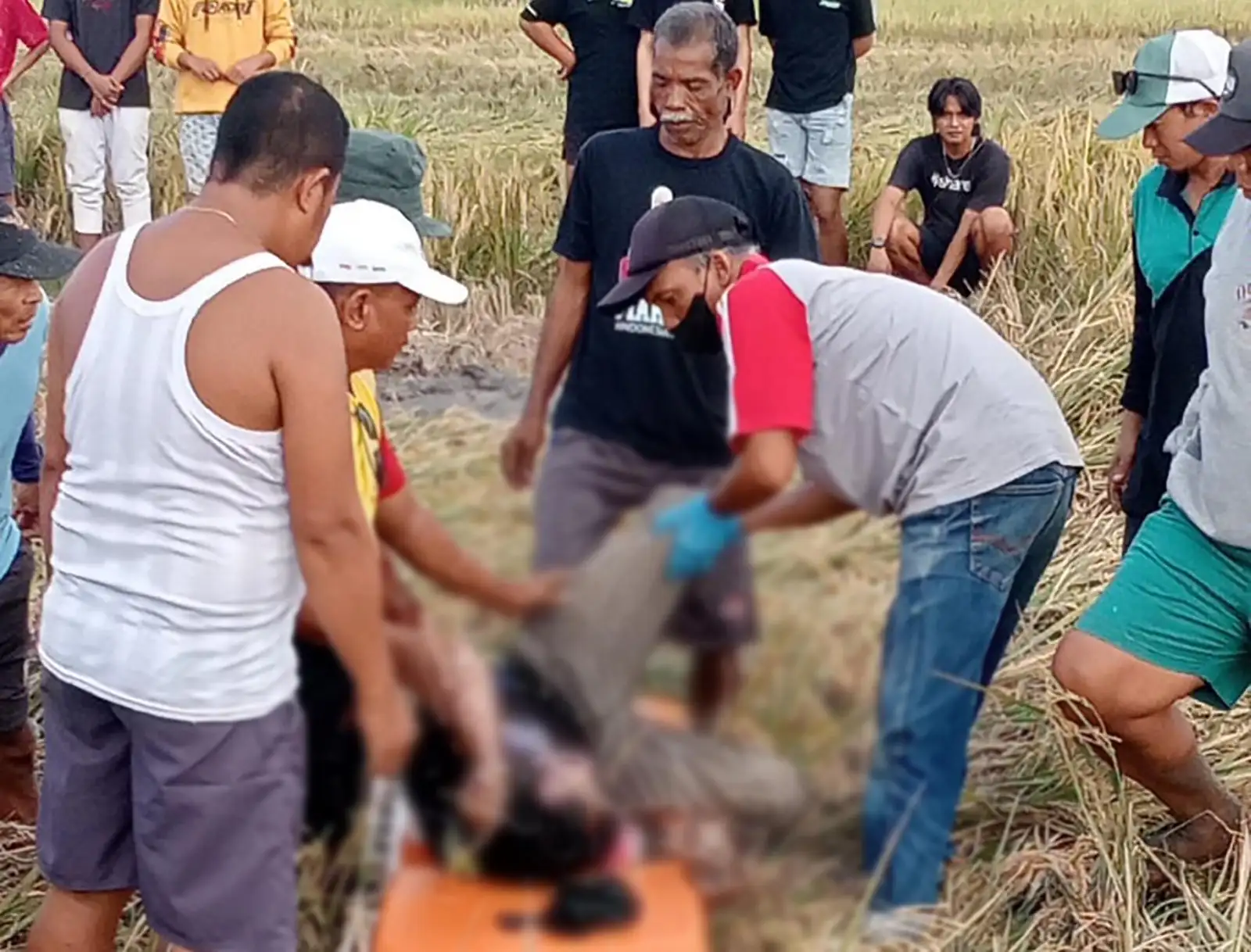 Petani Kedungpit Sragen Meninggal di Sawah, Ini Hasil Pemeriksaan Polisi