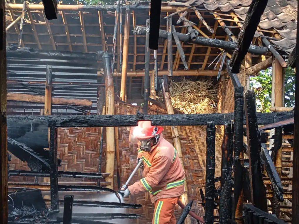 Niat Usir Nyamuk, Kandang Sapi dan Rumah di Brojol Miri Sragen Malah Terbakar