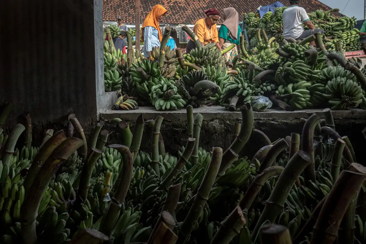 Pasar Gablok Demak Buka di Hari Pon & Kliwon, Tempat Belanja Pisang-Tembakau
