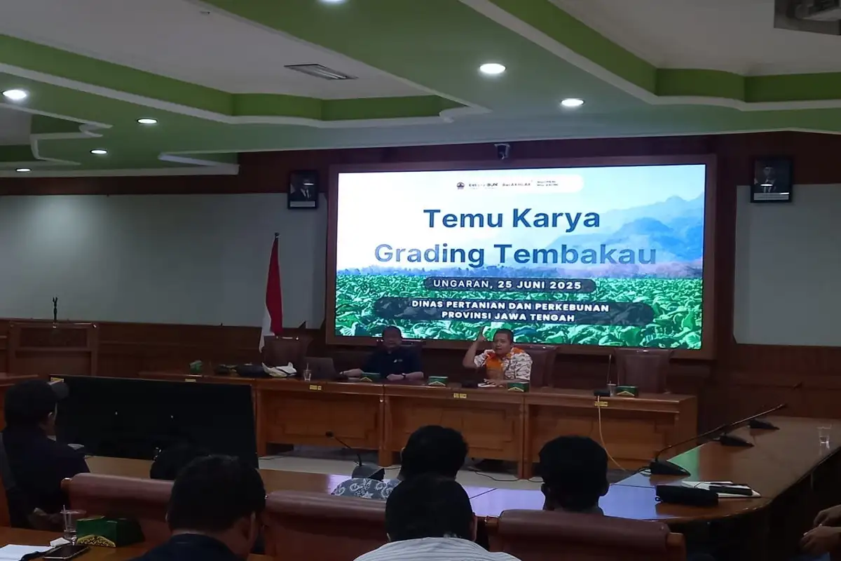 Distanbun Jateng Sosialisasi Grading Tembakau ke Petani, Ini Manfaatnya!