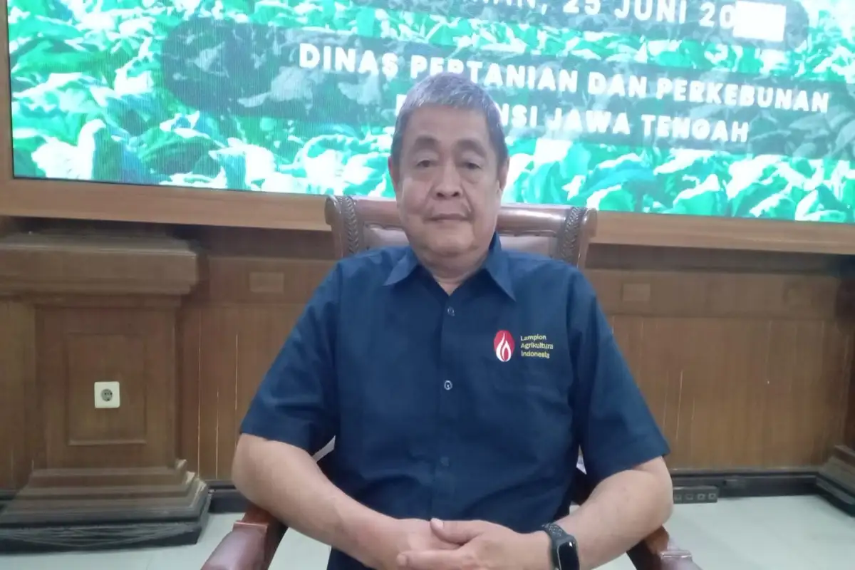 Rokok Ilegal Marak! Pabrik Kurangi Produksi dan Serapan Tembakau Turun