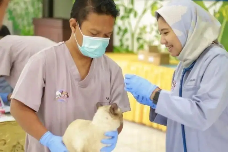 Pemkot Madiun Gelar Vaksinasi Rabies Gratis Hewan Peliharaan, Ada 200 Dosis!