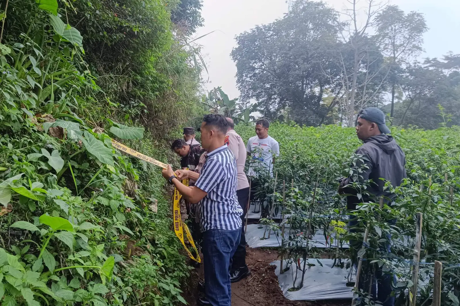 Bersihkan Kebun Cabai, Warga Getasan Semarang Temukan Benda Diduga Granat
