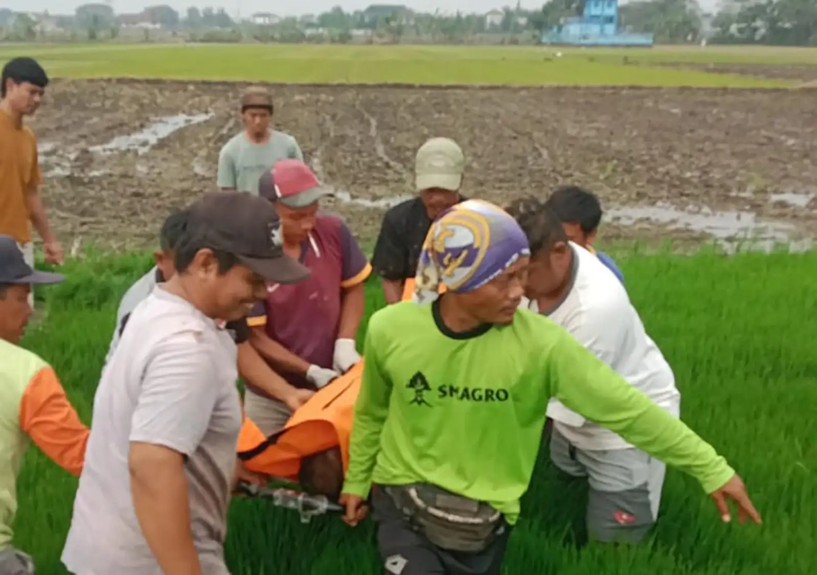 Diduga Epilepsi, Petani Ditemukan Meninggal di Persemaian Padi Plupuh Sragen