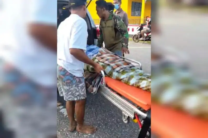 Ngeri, Warga Lansia di Sulawesi Tenggara Ditelan Ular Sepanjang 8 Meter