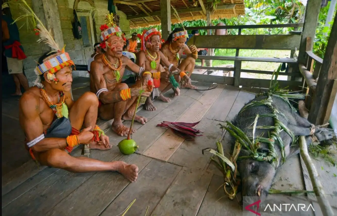 Masyarakat Adat dan Ritual Kebudayaan sebagai Upaya Penjagaan Hutan