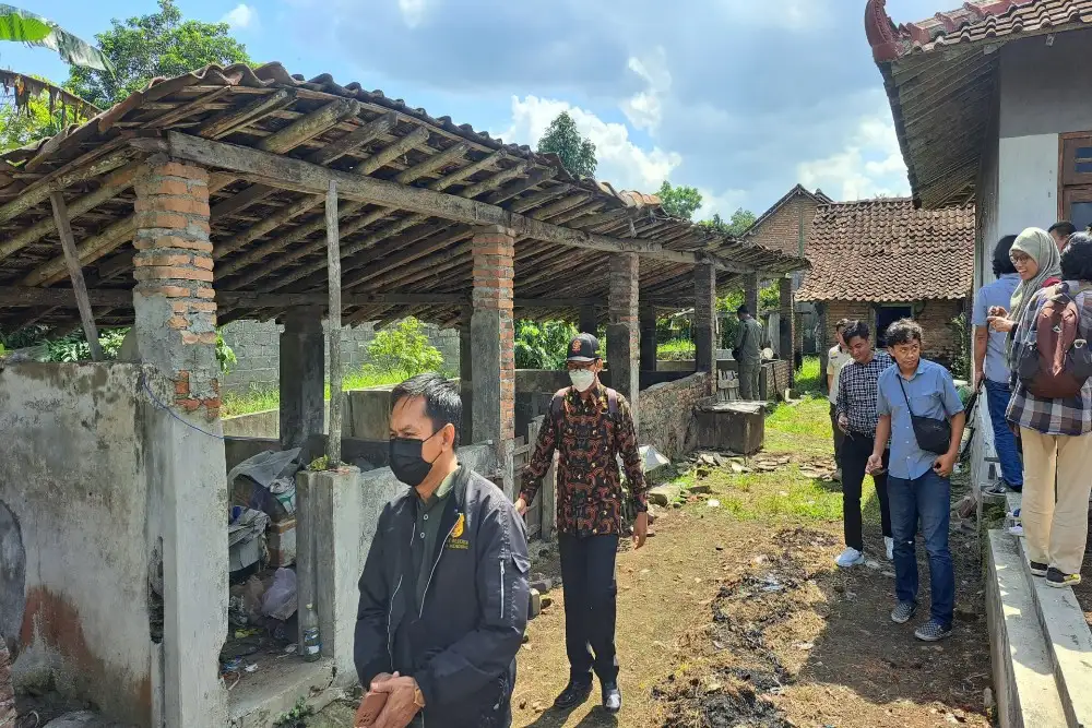 Peternakan Babi di Mlati Sleman Sudah Kosong saat Hendak Ditutup Petugas