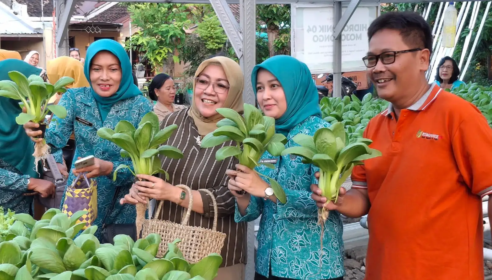 Momen Istri Wali Kota Solo Ikut Panen Sayuran di Kebun Hidroponik Mojosongo