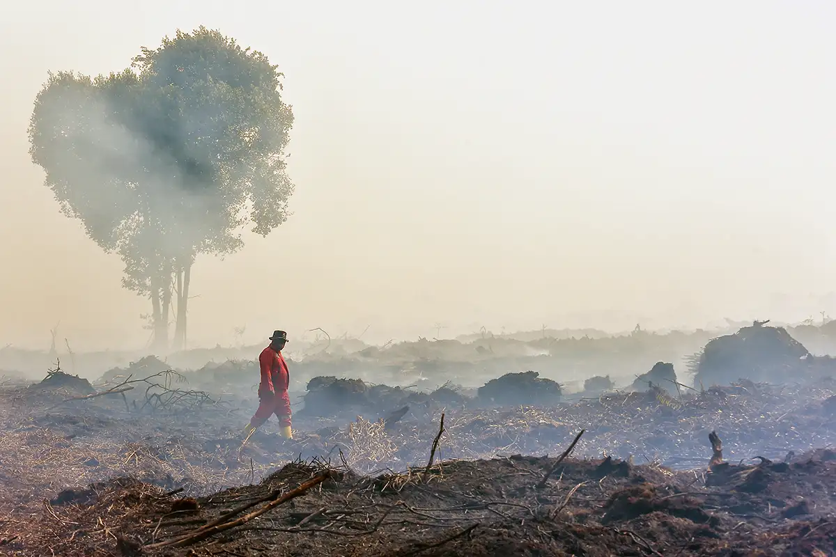 Pembukaan Lahan dengan Cara Dibakar Masih Marak, 51 Orang Jadi Tersangka