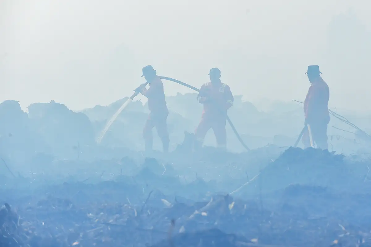 Prabowo Tak Beri Toleransi kepada Korporasi Pembakar Hutan