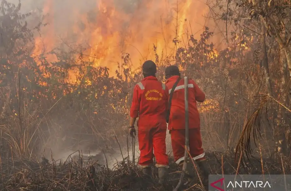Menhut: Panas Ekstrem Jadi Pemicu Kebakaran Hutan dan Lahan di Riau