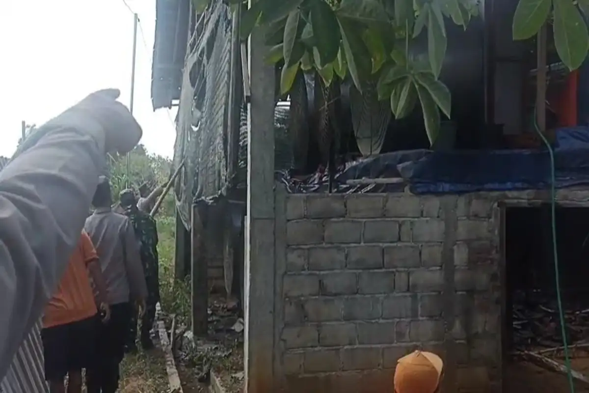 12.000 Ayam Mati Terpanggang, Kandang di Magetan Ludes karena Korsleting
