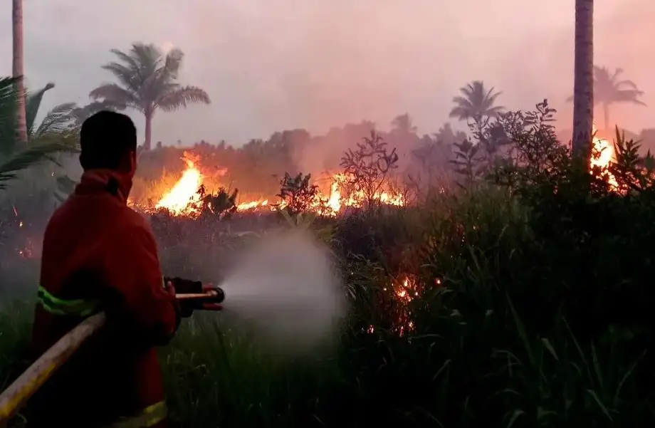 Puncak Musim Kemarau, BMKG Ingatkan Potensi Kebakaran Hutan di Riau