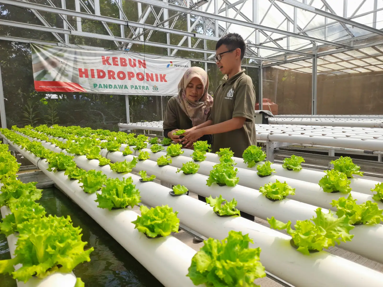 Pandawa Patra Libatkan Difabel Boyolali Kembangkan Pertanian Terintegrasi